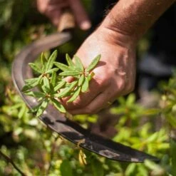 Moisturizing Blemish Care 14 Moisturizing Blemish Care -Lunara Beauty Store medias 195