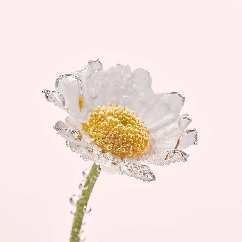 Soothing Makeup Removing Micellar Water - Pure Camomille 5 Soothing Makeup Removing Micellar Water - Pure Camomille - Image 3