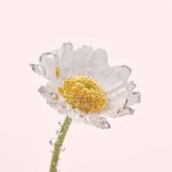 Face And Body Comfort Cream -Lunara Beauty Store medias 310