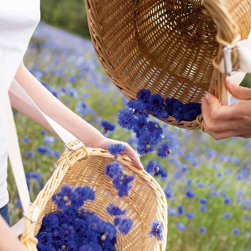 Felt-Tip Liner 4 Felt-Tip Liner - Image 2