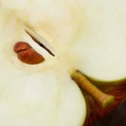 Repairing Cica-cream 8 Repairing Cica-cream -Lunara Beauty Store medias 558