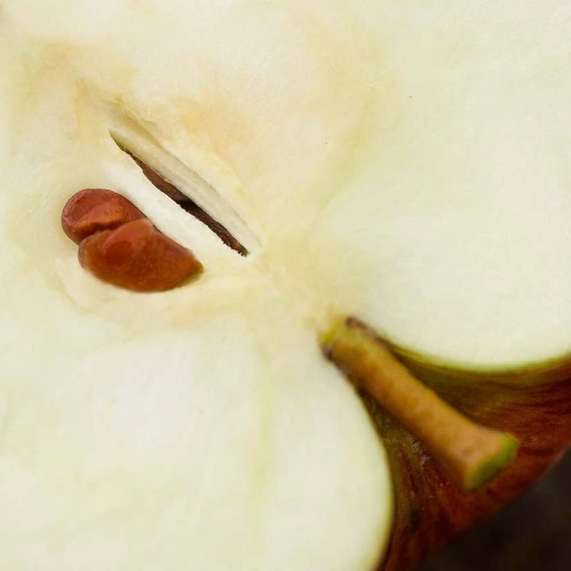 Repairing Cica-cream 5 Repairing Cica-cream - Image 3