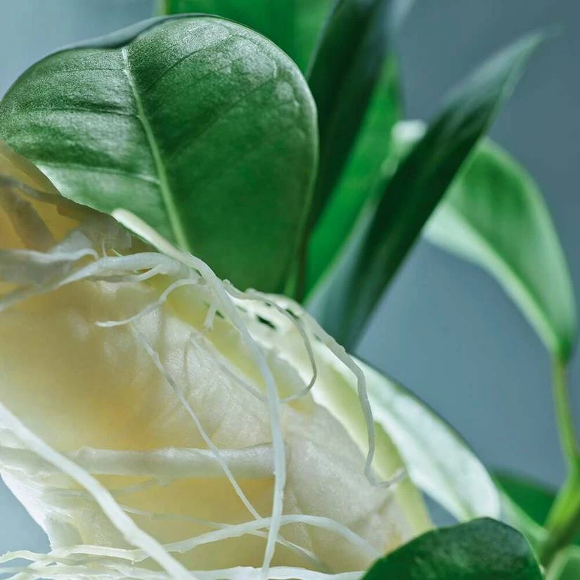 Scalp Booster Serum - Strength 6 Scalp Booster Serum - Strength - Image 4