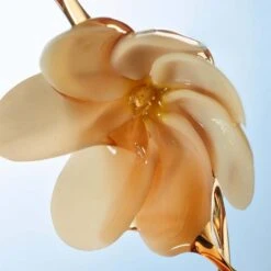 Traditional Monoï Oil - Collector's Edition