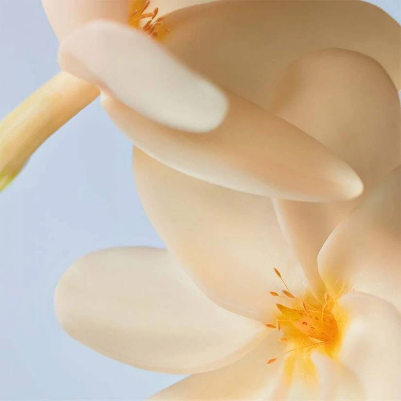 Monoï Body Scrub-In-Oil Radiant Tan 6 Monoï Body Scrub-In-Oil Radiant Tan - Image 4