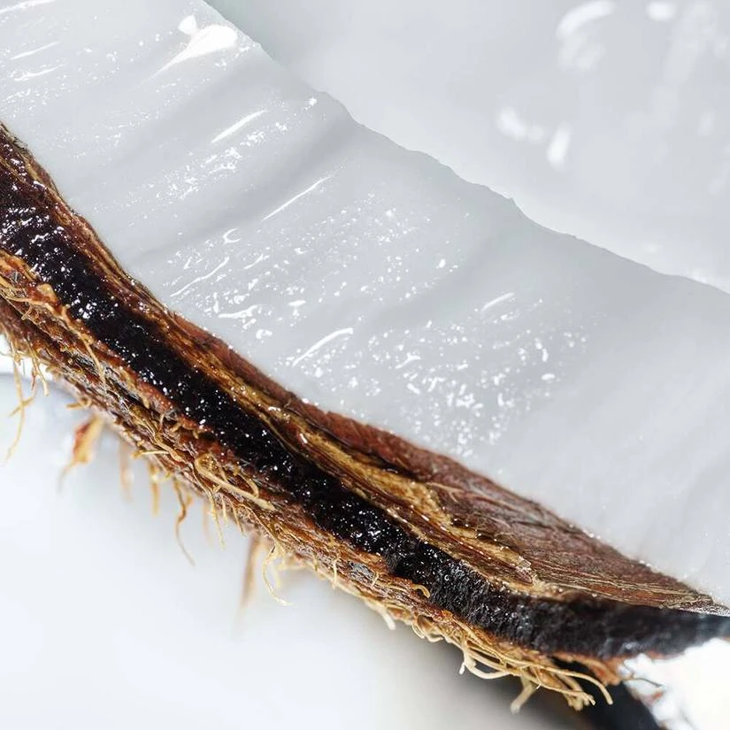 Coconut Cream Body Scrub 5 Coconut Cream Body Scrub - Image 3