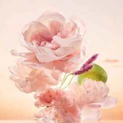 Perfumed Shower Gel - Comme Une Evidence